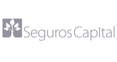 logos seguros gris